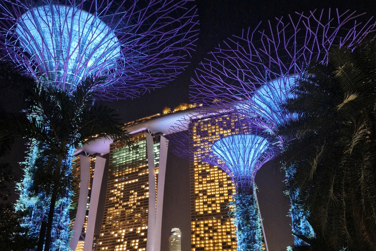 best free things to do in Singapore