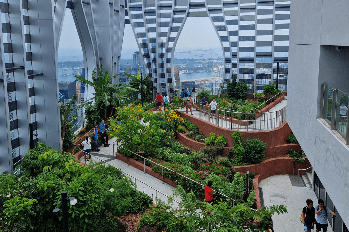 CapitaSpring rooftop gardens 