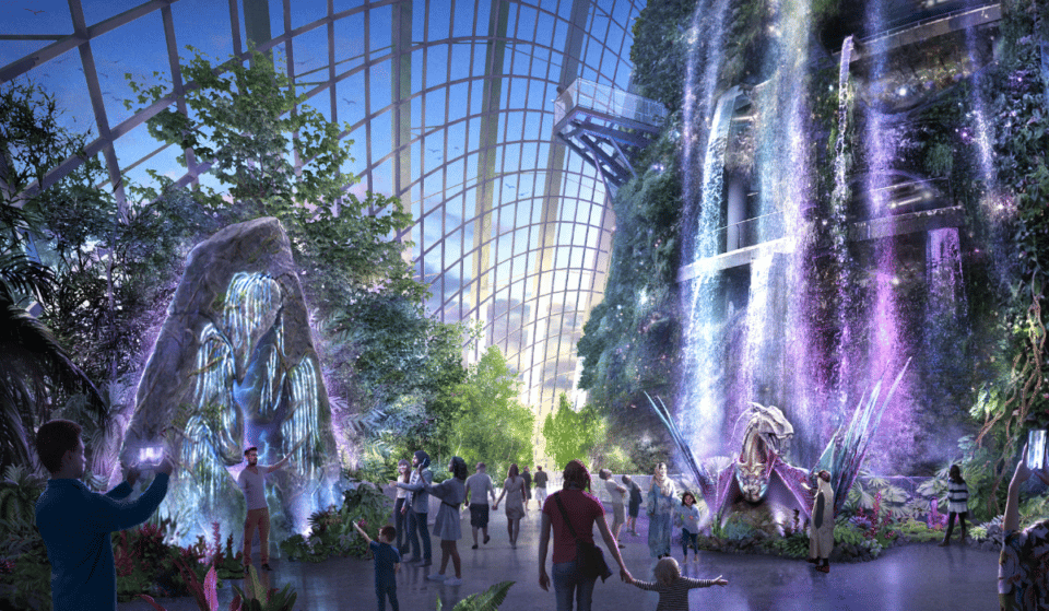 First Look: Avatar Experience Opening At Cloud Forest This Month
