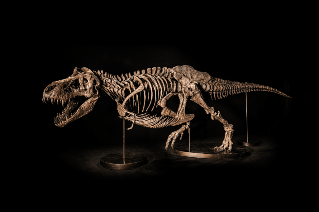 T-Rex Skeleton Singapore Free Exhibition October 2022