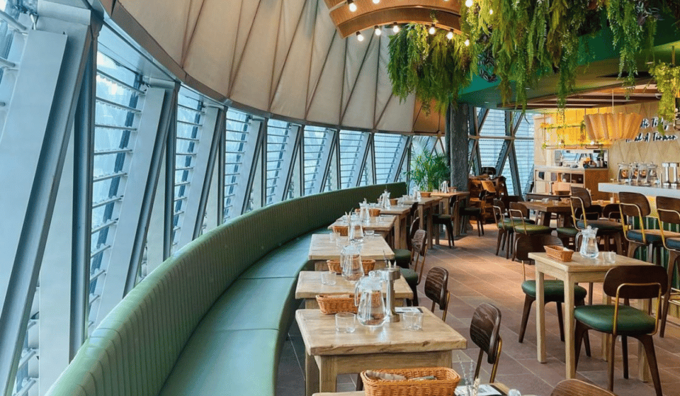 A Dreamy New Botanical Glasshouse Cafe Opened At ION Orchard