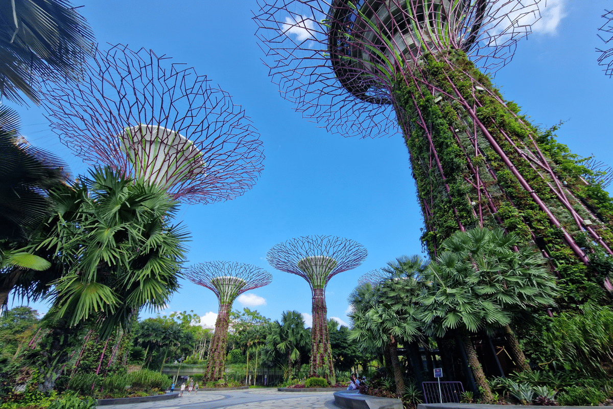 best things to do weekend best parks in Singapore