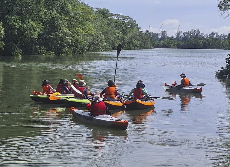 Go On A Singapore Kayak Adventure From Pulau Ubin To Pulau Ketam