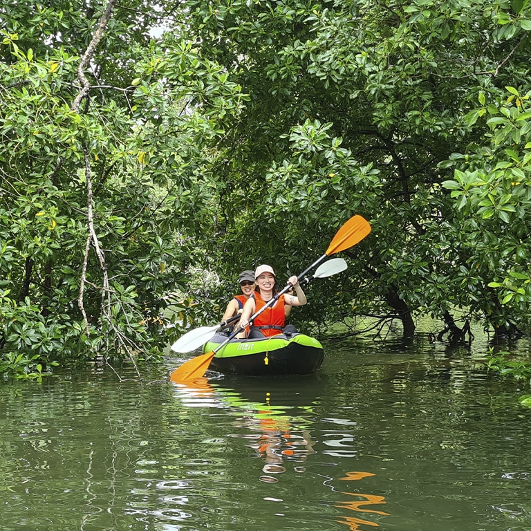 Kayaking through the mangrove forest