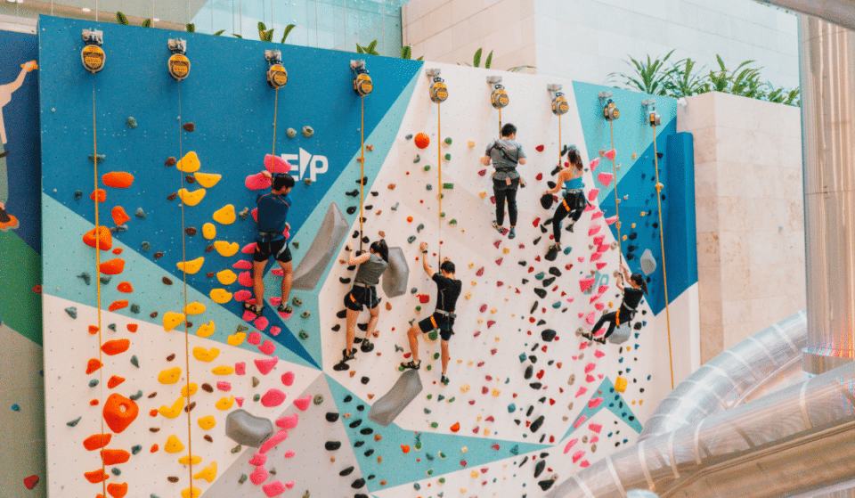 First Sports Climbing Attraction Opens At Changi Airport This Weekend