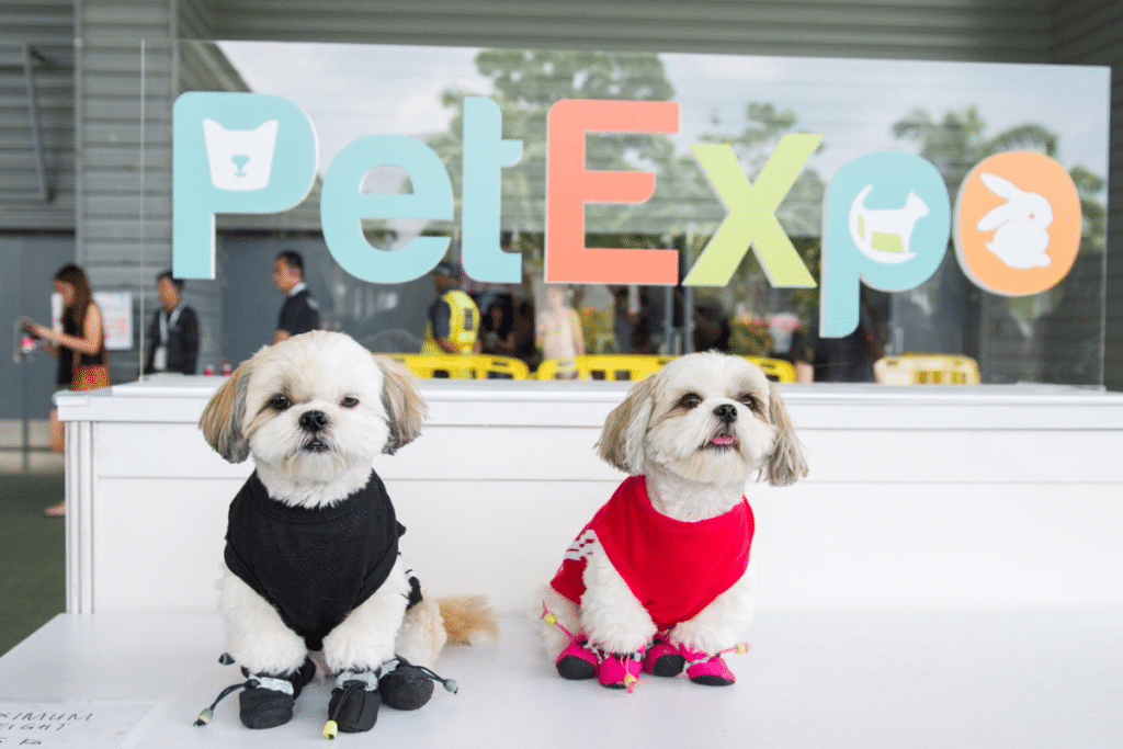 PetExpo 2023 Singapore biggest pet fair