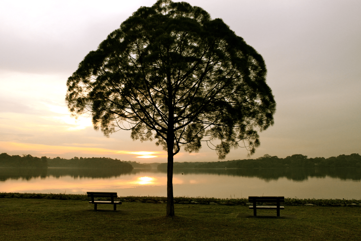 best picnic places in Singapore