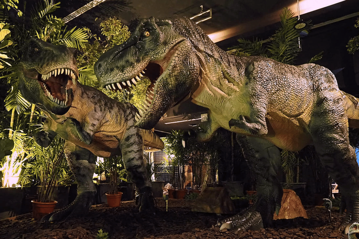 best immersive experiences in Singapore