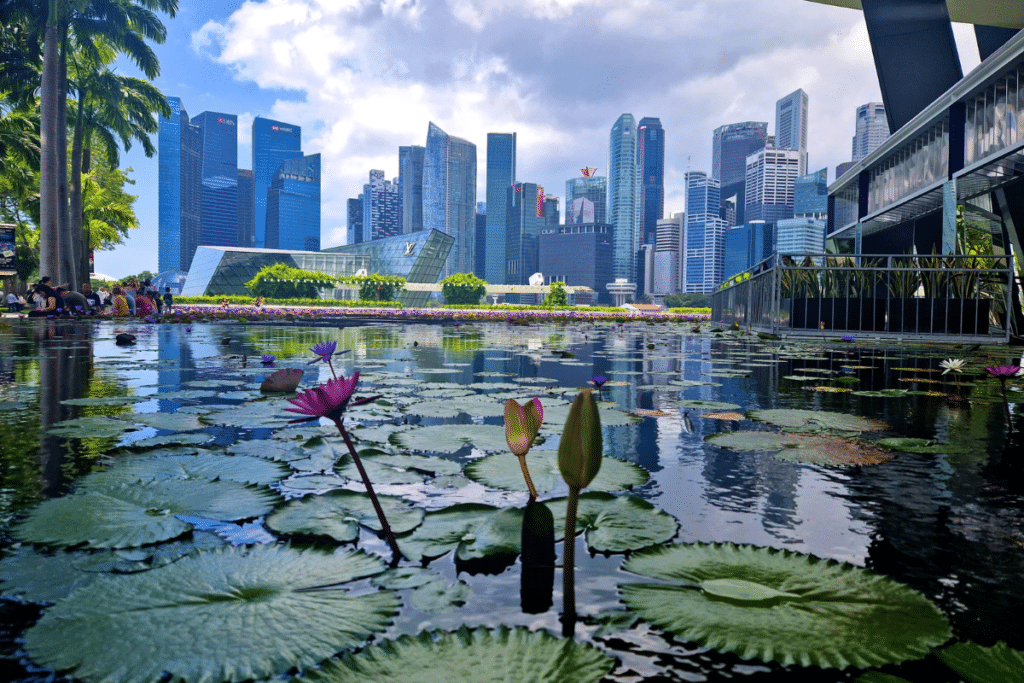 55 Marvellous Things To Do This May 2023 In Singapore