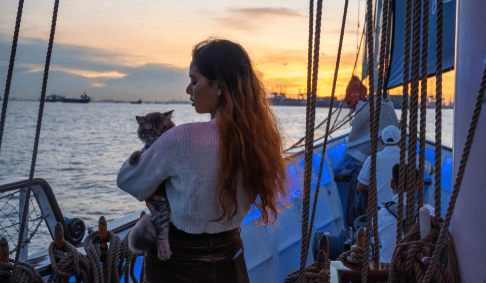 Set Sail With Your Kitty On The World’s First Cat Cruise From Singapore