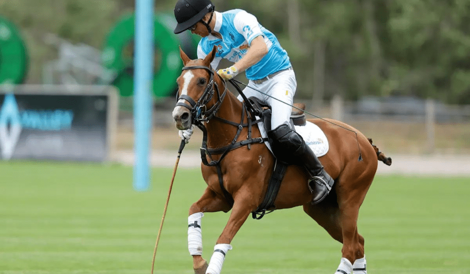 Prince Harry Is Coming To Singapore To Play A Charity Polo Match This Weekend