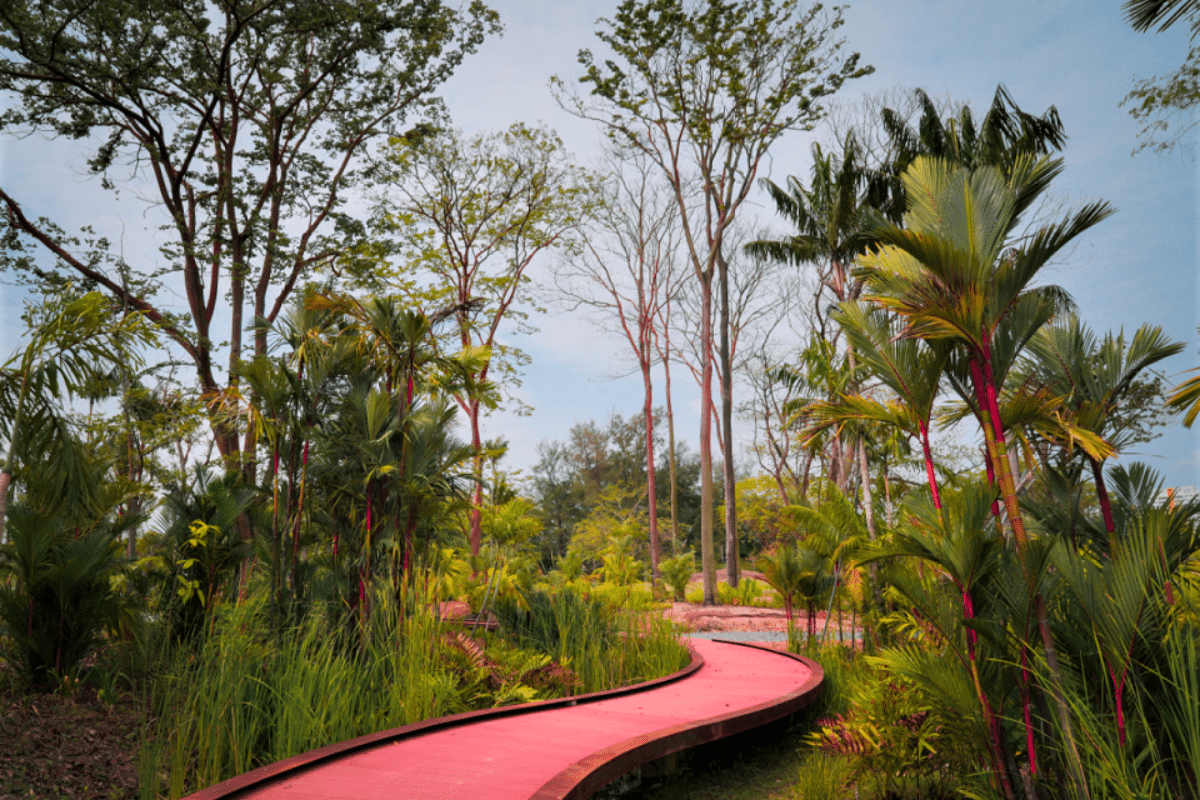 Jurong Lake Gardens in Singapore