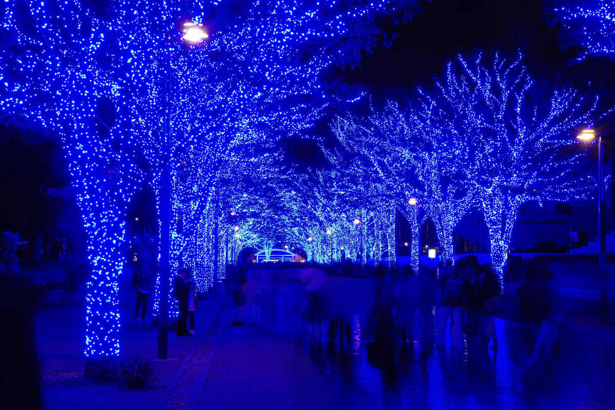 Tokyo Japan Christmas Holidays 