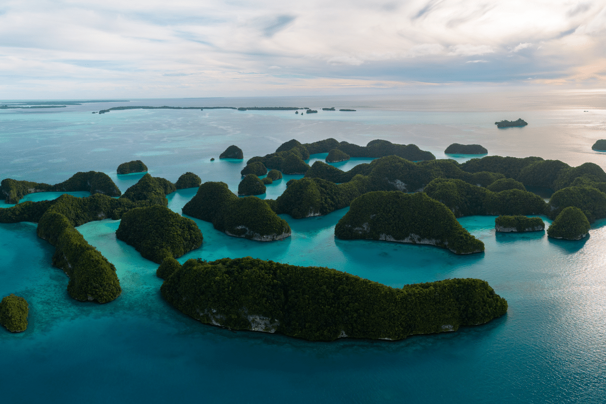 Palau first set of flights direct from Singapore
