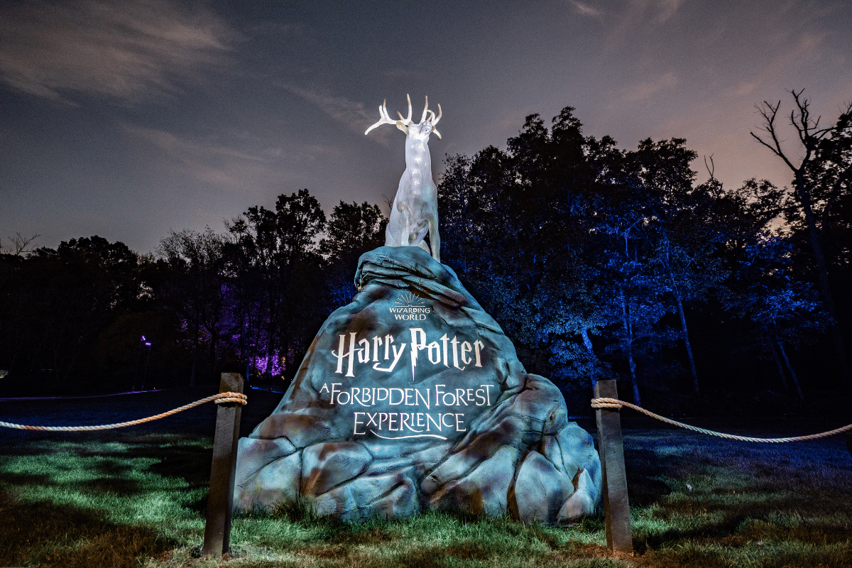 Harry Potter: A Forbidden Forest Experience in Dallas